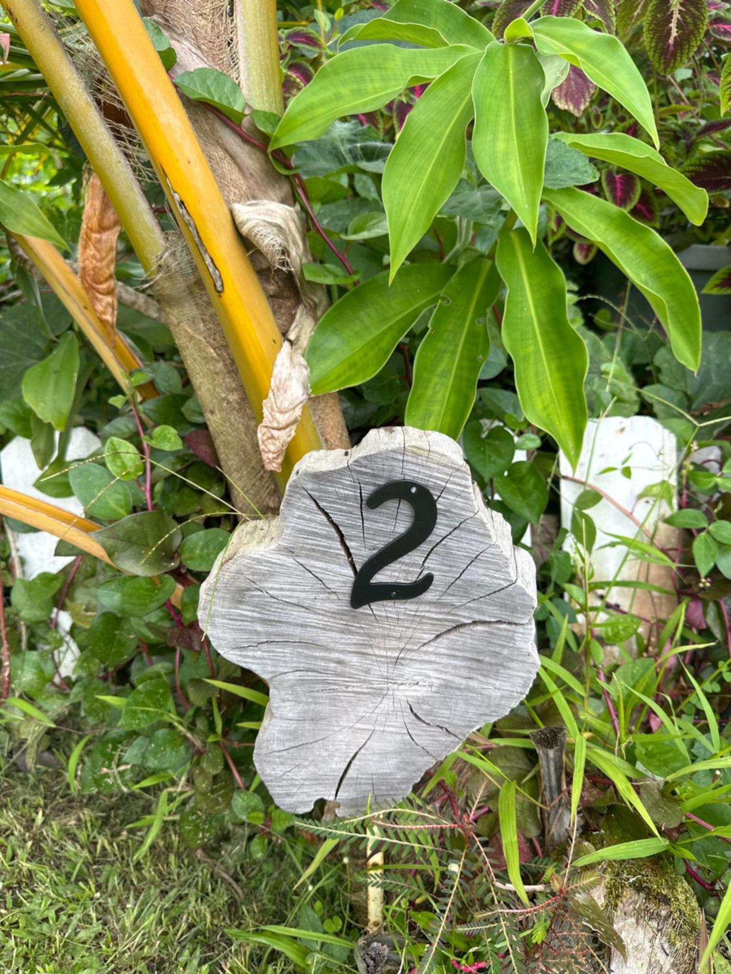 Hawaiian Ohana Home Hilo Kültér fotó