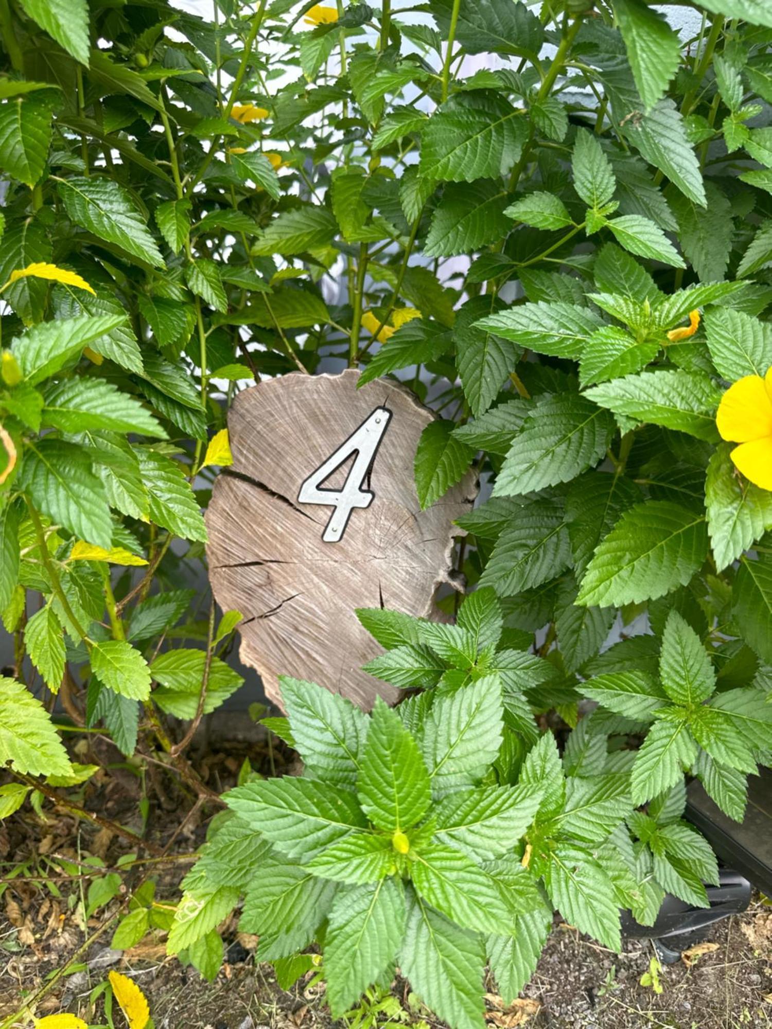 Hawaiian Ohana Home Hilo Kültér fotó