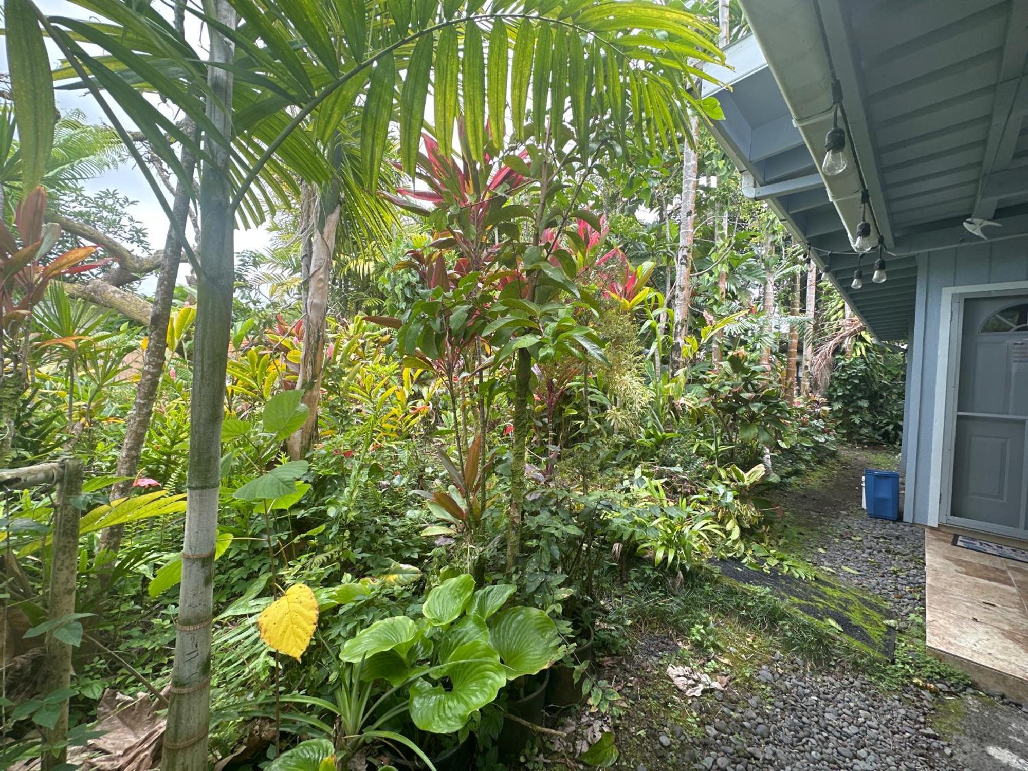 Hawaiian Ohana Home Hilo Kültér fotó