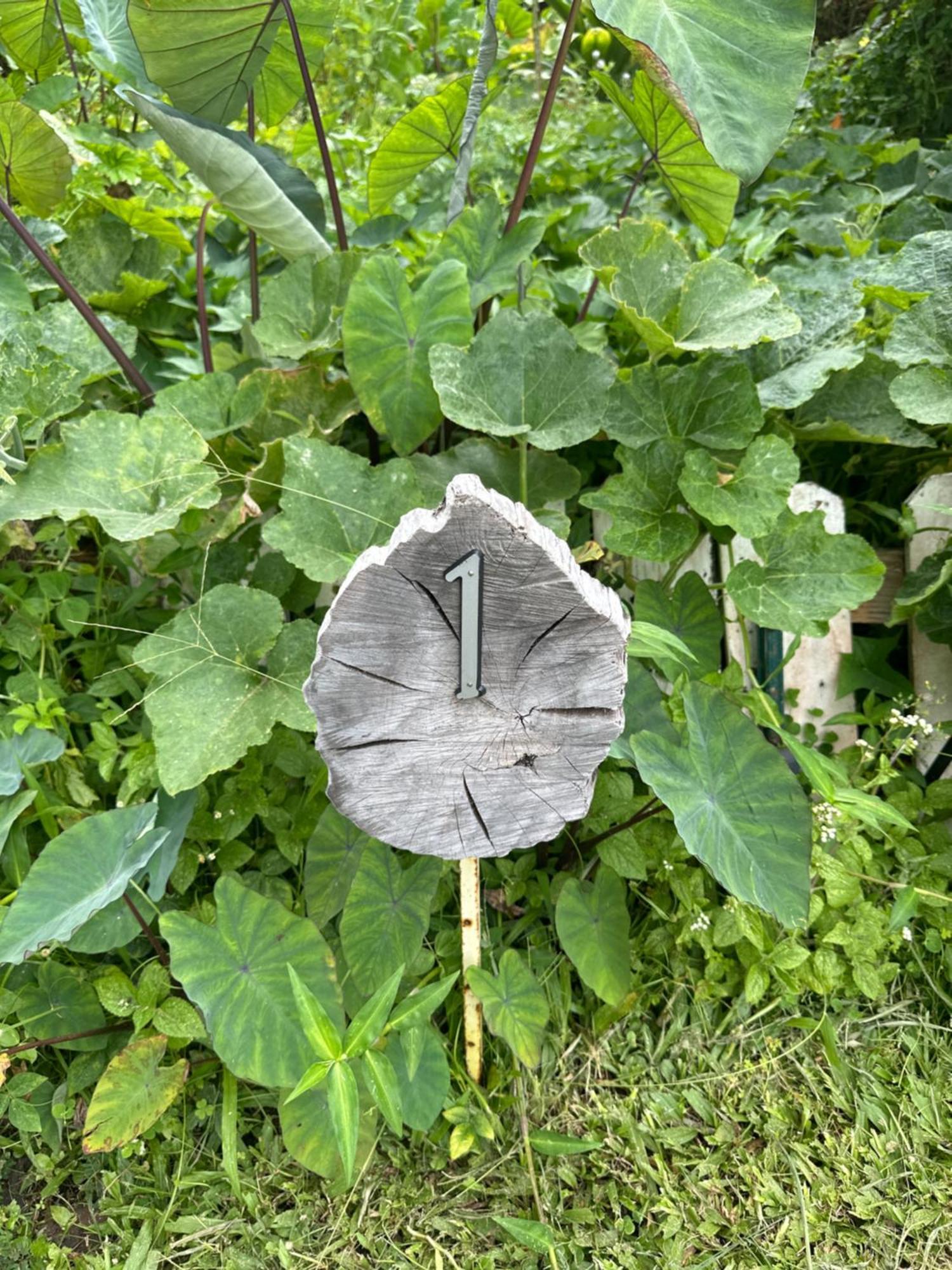 Hawaiian Ohana Home Hilo Kültér fotó