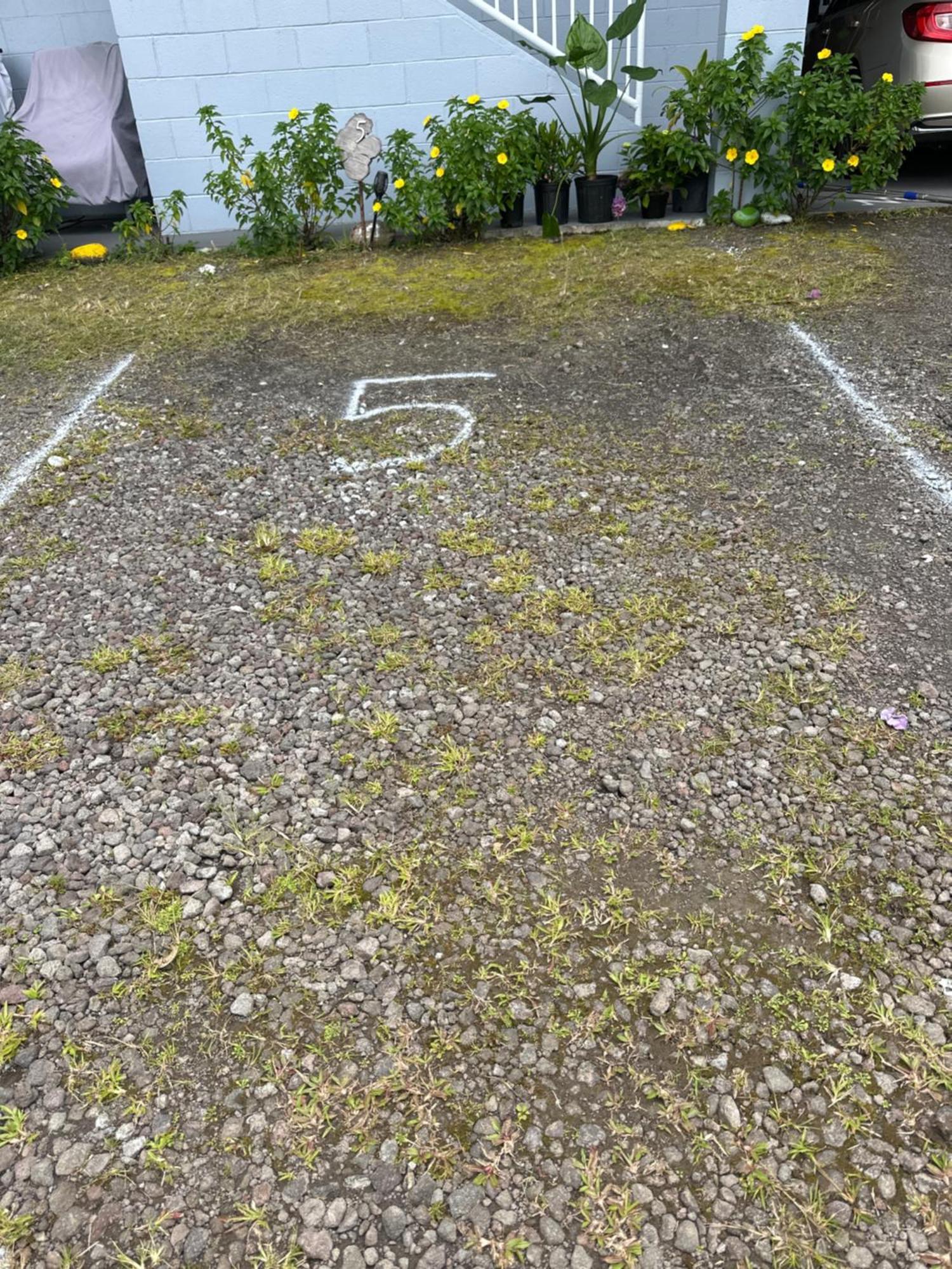 Hawaiian Ohana Home Hilo Kültér fotó