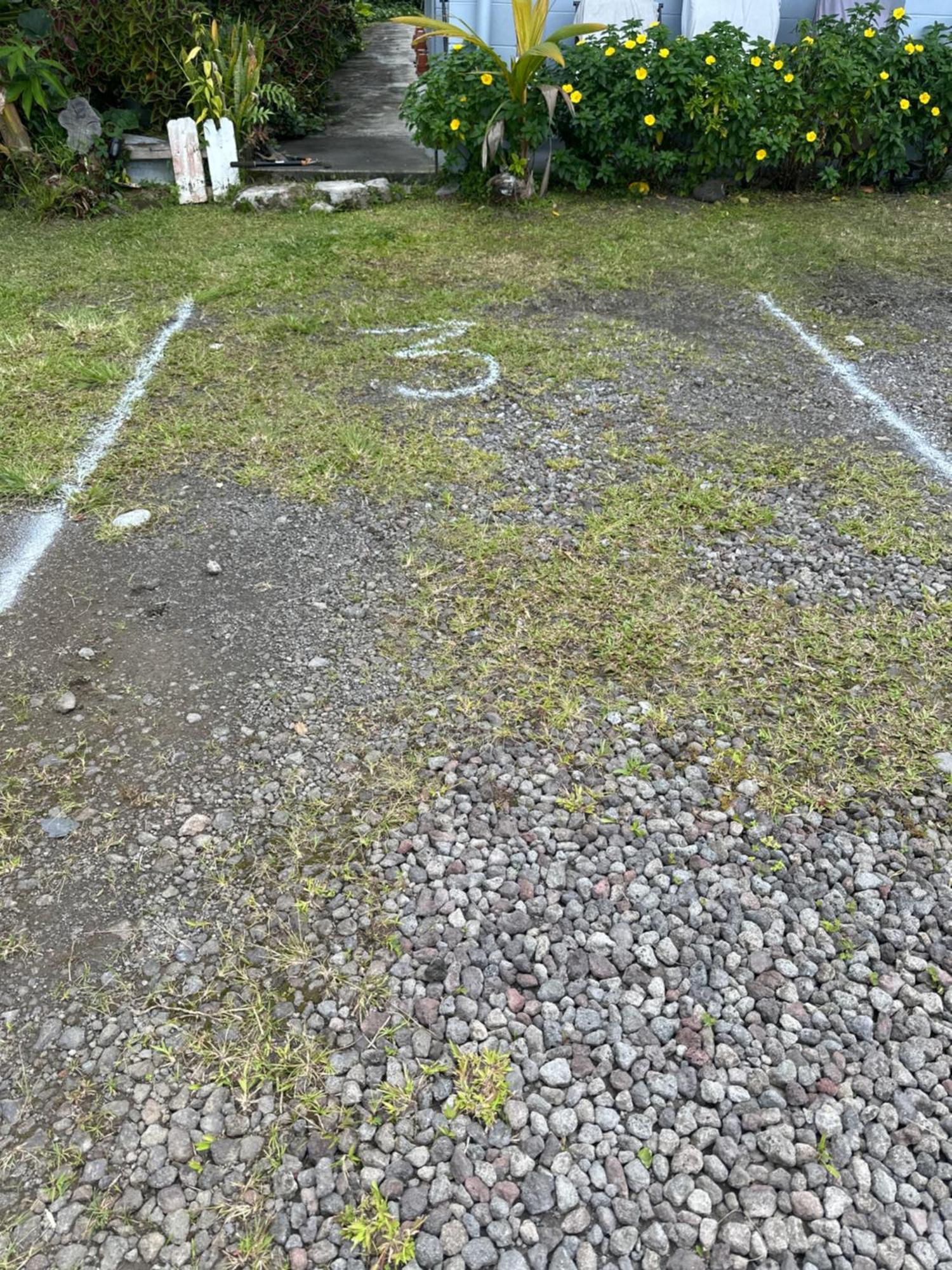 Hawaiian Ohana Home Hilo Kültér fotó