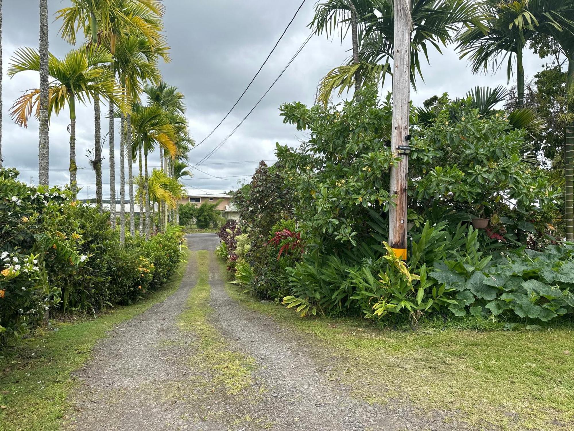 Hawaiian Ohana Home Hilo Kültér fotó