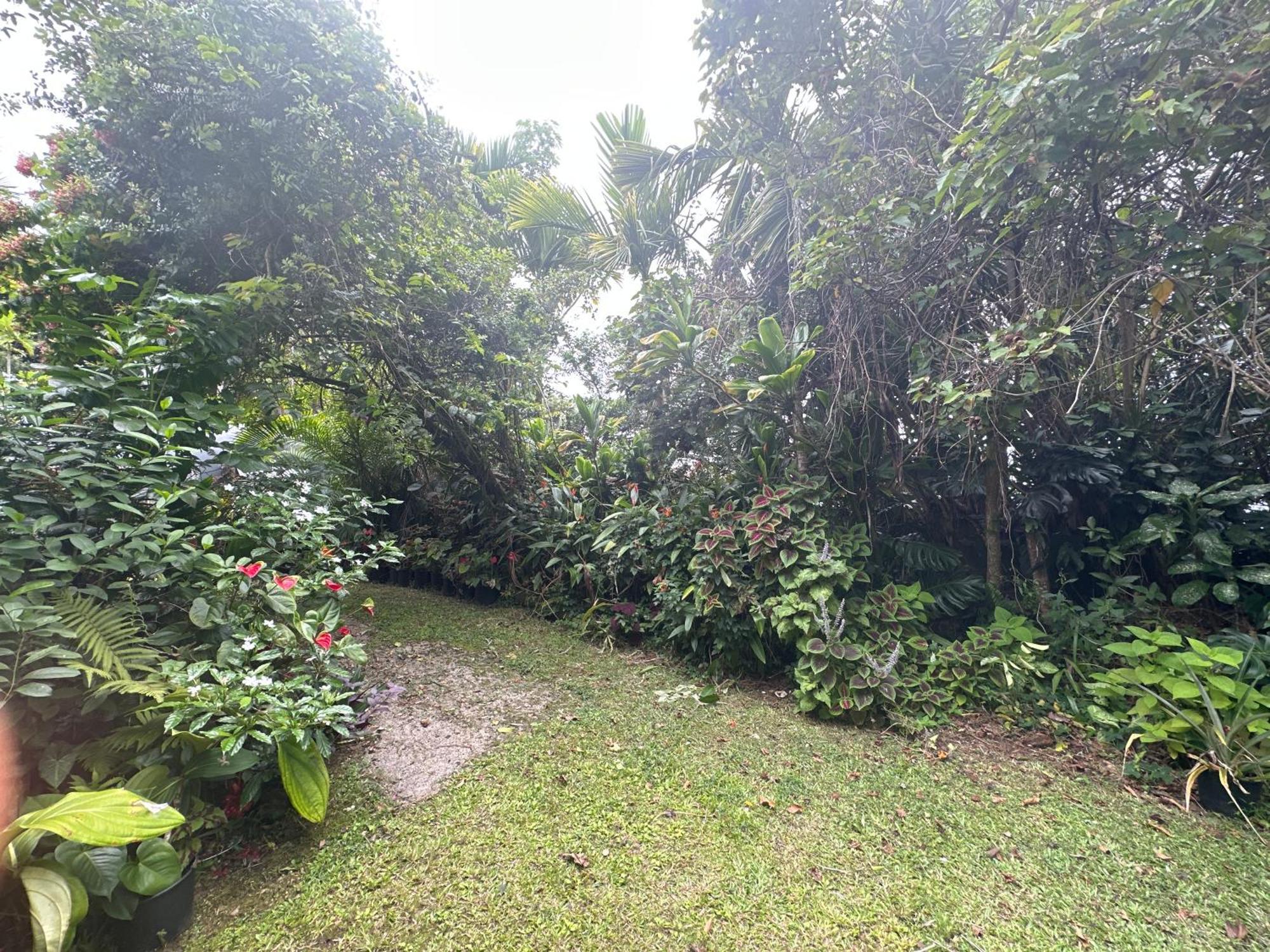 Hawaiian Ohana Home Hilo Kültér fotó