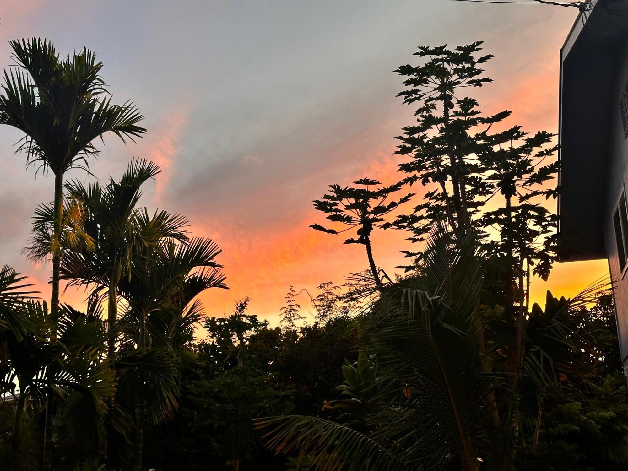 Hawaiian Ohana Home Hilo Kültér fotó